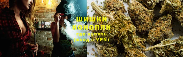 прущие крисы Магас