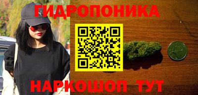 спиды Шахты