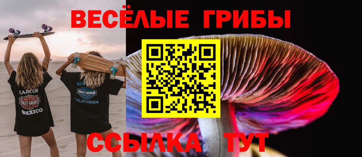 Псилоцибиновые грибы GOLDEN TEACHER Стерлитамак